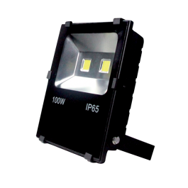 LED floodlight VEGA 100W 5500K IP65 BL
