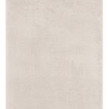 ABC VIVACE КИЛИМ NEW TOUCH BEIGE 230X160CM thumbnail