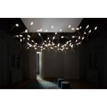 Pendant TULIP 14X3,2W LED 3000K transparent/brass thumbnail
