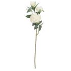 BIZZOTTO ИЗКУСТВЕНО ЦВЕТЕ PEONY EVELYN 90CM БЯЛО