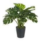 BIZZOTTO ИЗКУСТВЕНО РАСТЕНИЕ PHILODENDRON 65CM