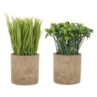 BIZZOTTO ИЗКУСТВЕНО РАСТЕНИЕ CAROLYN 17CM ЗЕЛЕНО