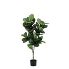 BIZZOTTO ИЗКУСТВЕНО РАСТЕНИЕ FICUS LYRATA 120CM