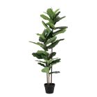 BIZZOTTO ИЗКУСТВЕНО РАСТЕНИЕ FICUS LYRATA 145CM