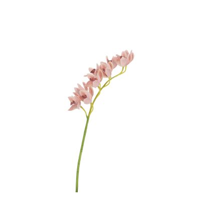 BIZZOTTO ИЗКУСТВЕНА КЛОНКА CYMBIDIUM DYAN 82CM ОР