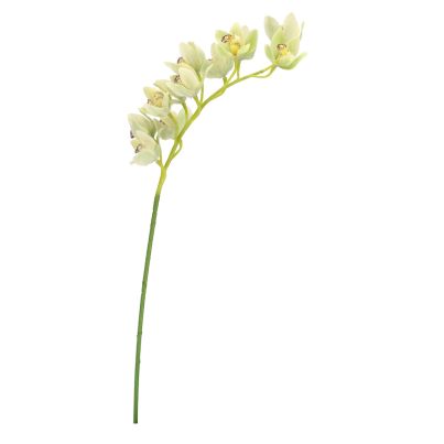 BIZZOTTO ИЗКУСТВЕНА КЛОНКА CYMBIDIUM DYAN 104CM З