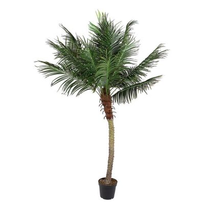 PALMA PLANT 18LEAVES W-VASE H210