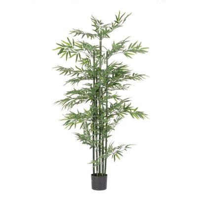 Бамбуково растение с ваза, височина 190 см 