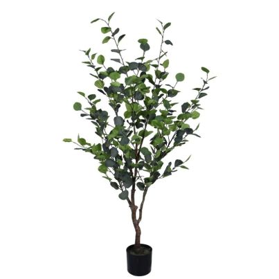 EUCALYPTUS PLANT W-POT H150