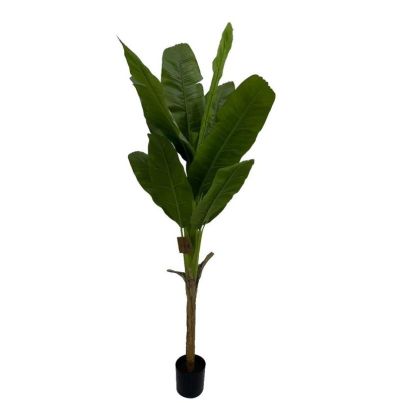 Изкуствено растение Bozzotto, Banana, W-VASE, H210