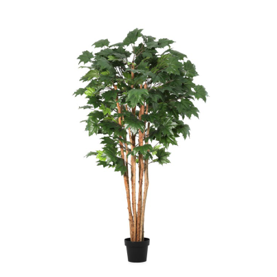 Bizzotto Canadian Maple Plant in Pot H175 cm