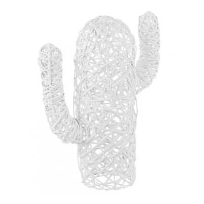 MEXICO WHITE CACTUS H55