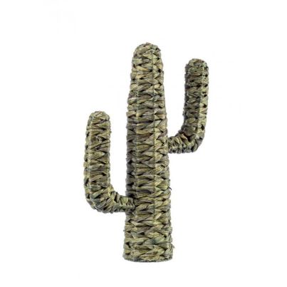 SAGUARO GREEN CACTUS H59