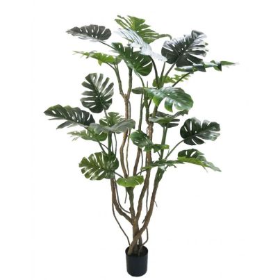 MONSTERA PLANT W-VASE H210
