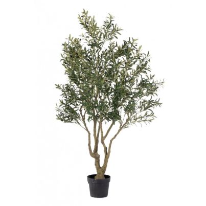 OLIVE PLANT W-VASE H210