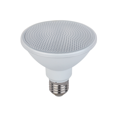 LED Lamp PAR30 15W 6500K