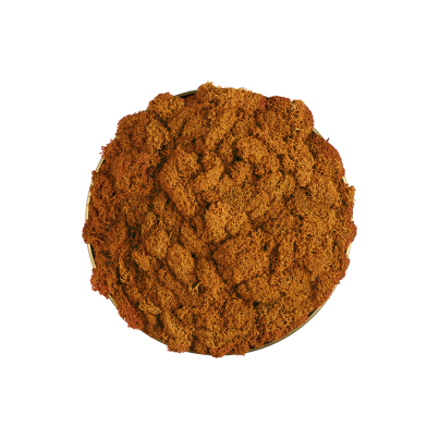 Декоративен елемент ACB CHAMALEON DISK 3975, мъх, оранжев