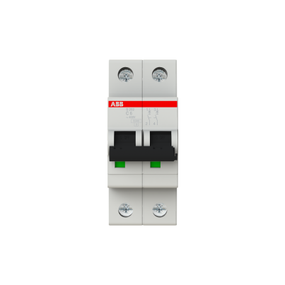 ABB Miniature circuit breaker for industrial use S202-C6 6A 2P 6kA curve C