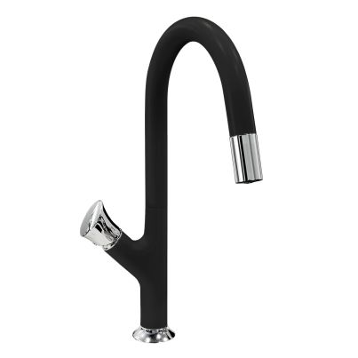 Kitchen mixer tap PARMIXEXT black matte