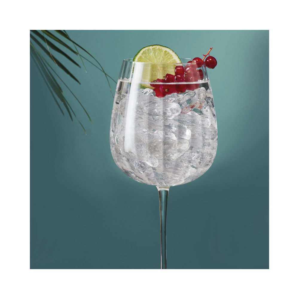Glasses Gin SPEAKEASIES 750ml 6pcs. clear